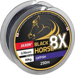 Jaxon, Plecionka BLACK HORSE 8x CATFISH 250 m