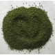 PowerFish, Pellet dla ryb, nostrzyk, kolor zielony, różne średnice - opak. 20 kg