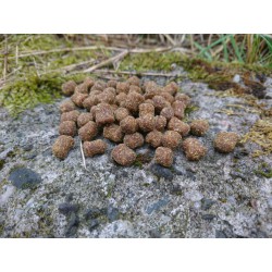 PowerFish, Pellet Wilgotny (Miękki) Haczykowy, Smak OŚMIORNICA-KAŁAMARNICA, Kolor CZERWONY, śr. 8 mm - opak. 5 kg