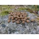 PowerFish, Pellet Wilgotny (Miękki) Haczykowy, Smak PIEPRZ, Kolor ŻÓŁTY, śr. 8 mm - opak. 5 kg