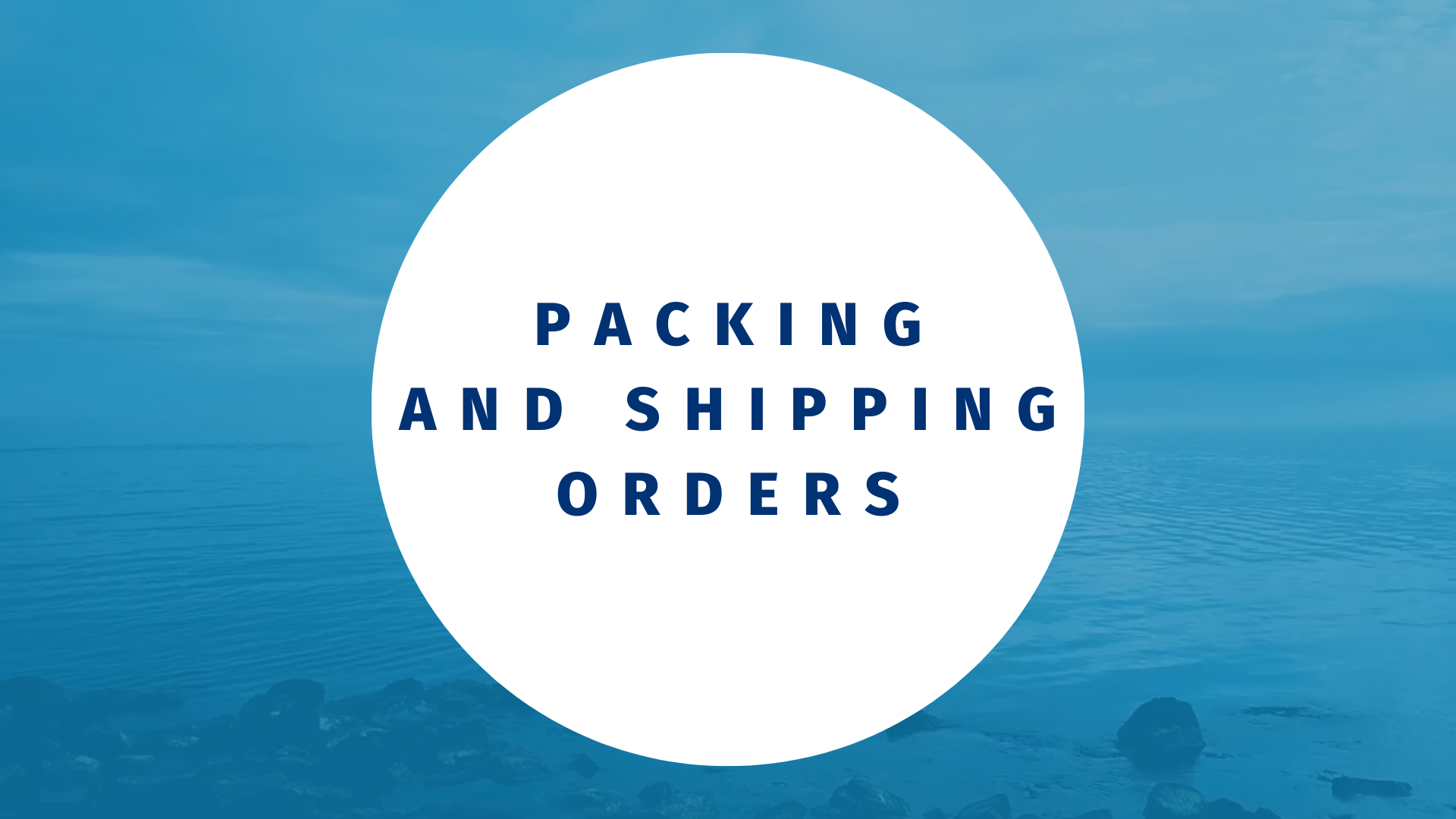 Packing and shipping orders at Ewita Fishing wholesaler